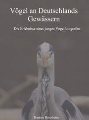 Vögel an Deutschlands Gewässern
