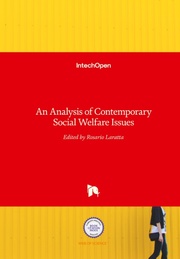An Analysis of Contemporary Social Welfare Issues