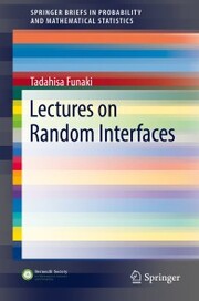 Lectures on Random Interfaces