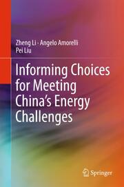 Informing Choices for Meeting Chinas Energy Challenges