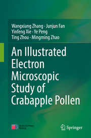 An Illustrated Electron Microscopic Study of Crabapple Pollen