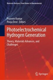 Photoelectrochemical Hydrogen Generation - Cover