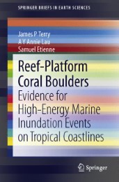 Reef-Platform Coral Boulders - Abbildung 1