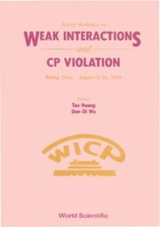 Weak Interactions And Cp Violation - Beijing Workshop