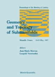 Geometry And Topology Of Submanifolds - Proceedings Of The Meeting At Luminy Marseille