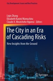 The City in an Era of Cascading Risks