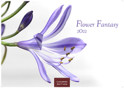 Flower Fantasy 2022 S 24x35cm - Cover
