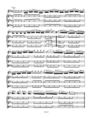 Konzert für Querflöte, Streicher und Basso continuo D-Dur RV 783 - Abbildung 1