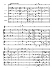 Symphony Quintetto C-Dur Hob. I:97 - Abbildung 2