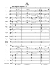 Má vlast (Mein Vaterland) - Orchester - Abbildung 3