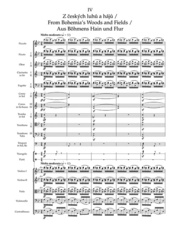 Má vlast (Mein Vaterland) - Orchester - Abbildung 4