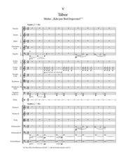 Má vlast (Mein Vaterland) - Orchester - Abbildung 5