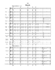 Má vlast (Mein Vaterland) - Orchester - Abbildung 6