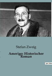 Amerigo: Historischer Roman - Cover