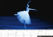 Ballett 2025 - Abbildung 4
