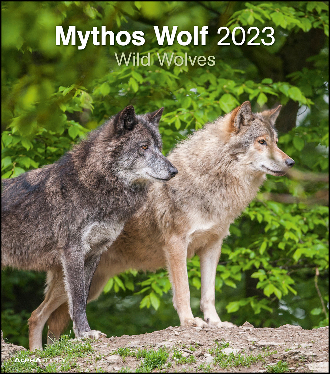 30x34 Mythos Wolf 2022 Foto-Kalender 