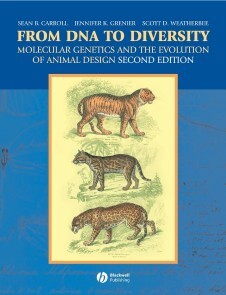 From DNA to Diversity (E-Book, PDF) | Tegeler Bücherstube GmbH