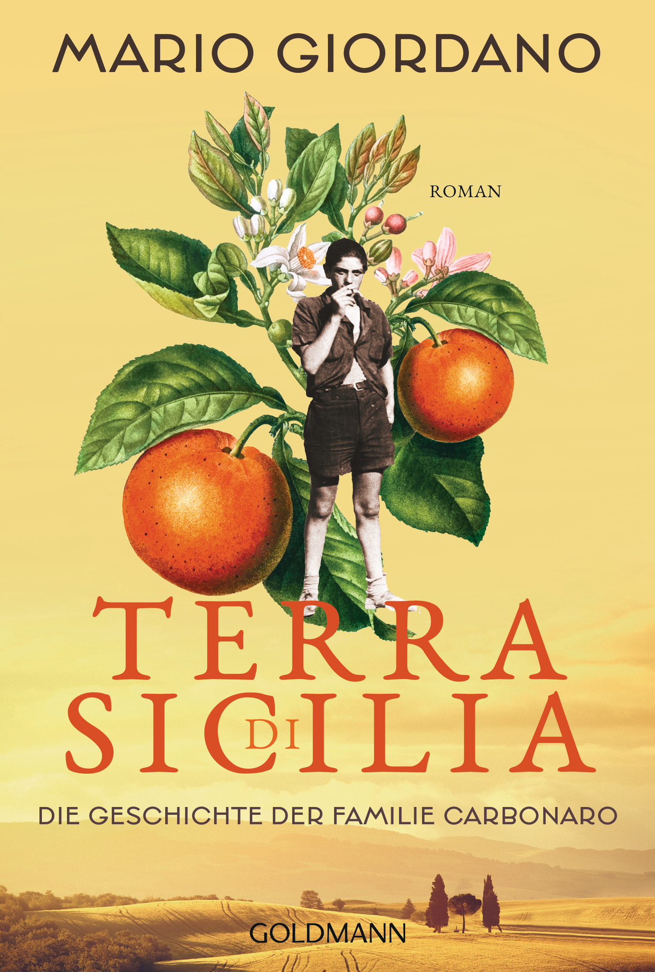 Terra di Sicilia. Die Geschichte der Familie Carbonaro (Englische Broschur)