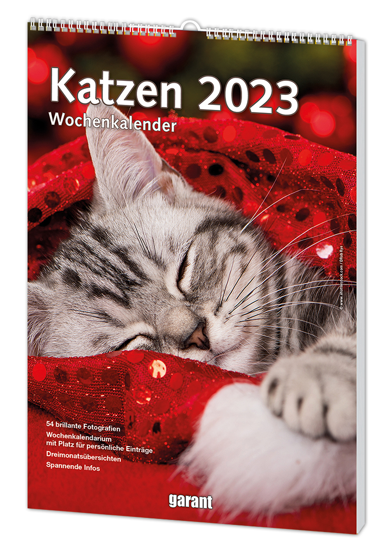 Katzen　2023　(Spiralbindung)　Erlebnis-Buchhandlung　didactus　Kempten