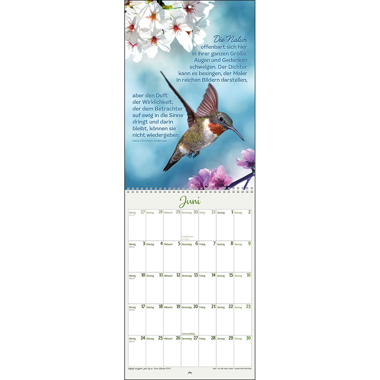 Beflügelt und geborgen - Vögel 2024 (Postkartenkalender)