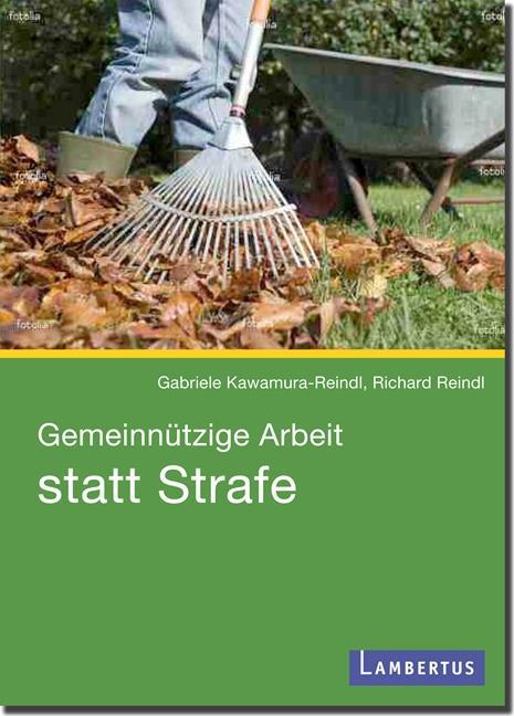 Gemeinnützige GmbH (kartoniertes Buch)