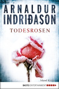 Das dunkle Versteck' von 'Arnaldur Indriðason' - eBook