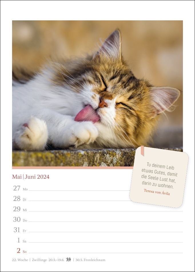 Wandkalender　2024.　Wochenkalender　(Spiralbindung)　kleinen　machen　Fotokalender.　Woche　dem　Fotos　Schönstatt-Verlag　und　süße　eine　echten　Passende　Katze　in　Jede　niedliche　Blickfang!　diesen　zum　Katzenglück　Zitate